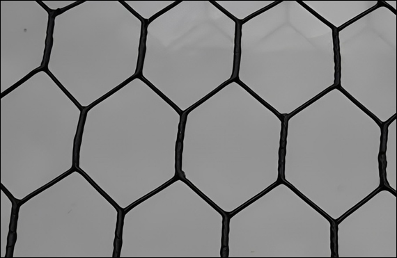 1 inch Black PVC Coated Chicken Wire Mesh