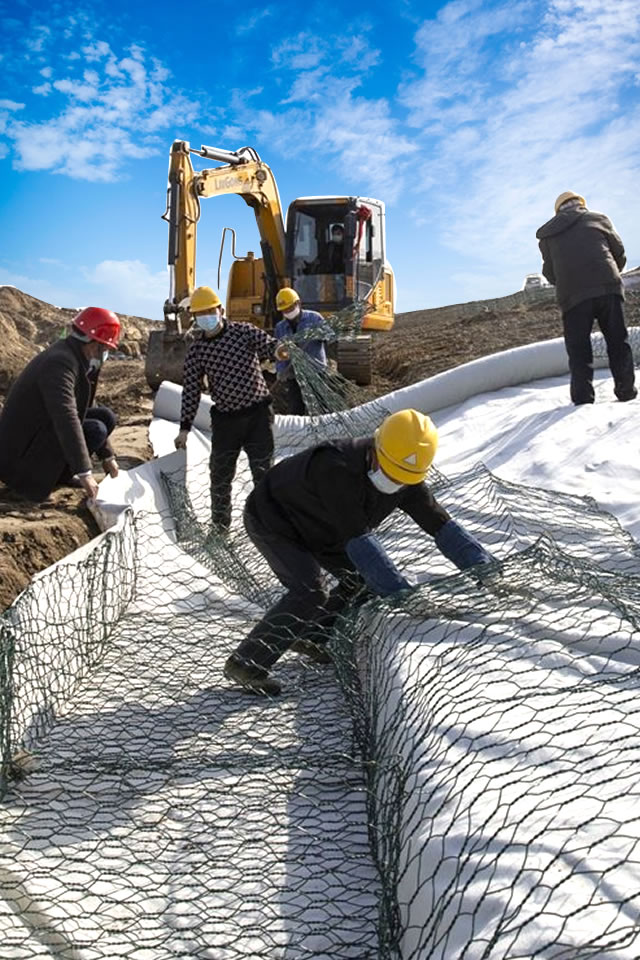 hexagonal mesh construction