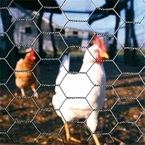 poultry fencing