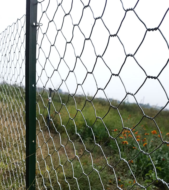 poultry netting uses fence