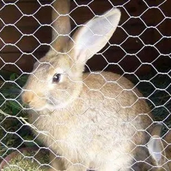 rabbit hutch netting