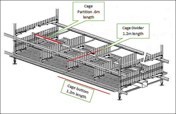 Chicken Battery Cage Design Detail