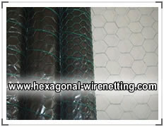 Hexagonal Wire Netting Rolls for Chicken Fencing