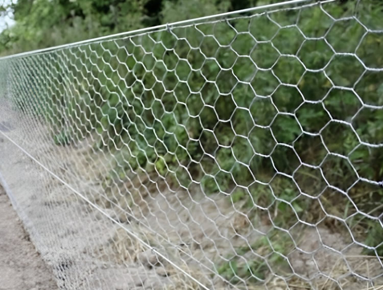 chicken wire fencing