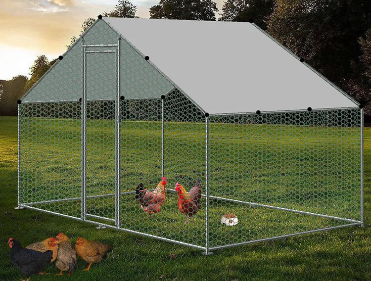 Poultry Battery Cage