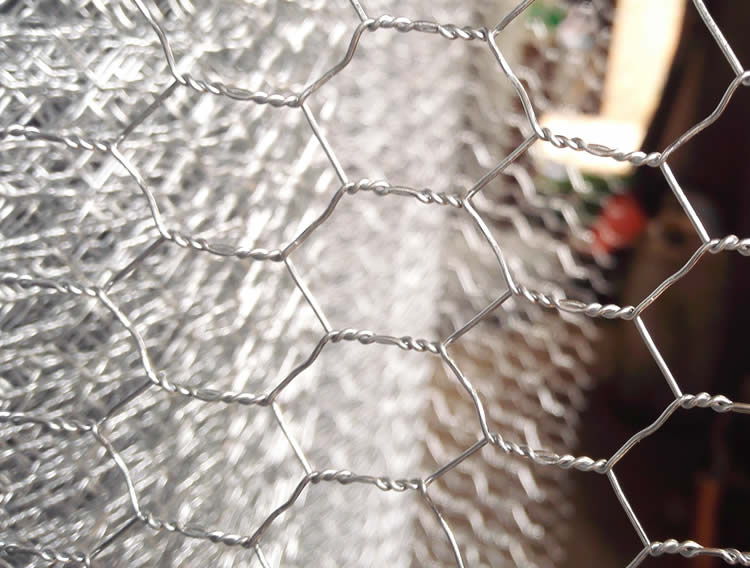 stainless steel chicken wire mesh